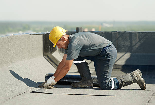 Best Insulation Replacement Services  in Bingham Farms, MI